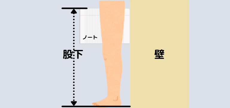 モデルの股下の長さって 一般的な足の長さと理想的なモデルの股下比率についても併せてご紹介