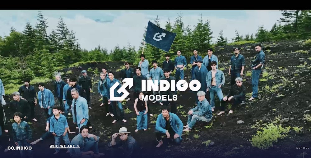 インディゴ(INDIGO)