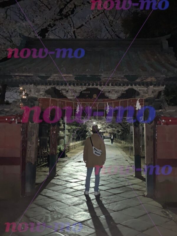 春からの旅人【102ka_official】now-mo（ナウモ）モデル素材